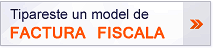 Model factura fiscala personalizata cu logotipul companiei